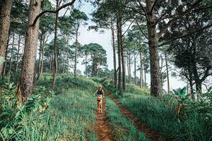 BIB: 
                            <button type="button" onclick="openModal(25652814)" class="btn btn-primary btn-sm float-right btn-popup" data-toggle="modal" data-target=".modal-high-quality">
                        <i class="fas fa-shopping-cart"></i> Add to Cart
                    </button>
                                            <button type="button" onclick="isThisMe(25652814, true)" class="btn btn-success btn-sm float-right btn-popup btn-isme hidden" data-toggle="tooltip" data-placement="bottom" title="นี่คือรูปของคุณใช่ไหม คลิกที่นี่เพื่อเอาเข้าอัลบั้ม">
                        <i class="fas fa-plus"></i> Add to album
                    </button>
                    <button type="button" onclick="isThisMe(25652814, false)" class="btn btn-warning btn-sm float-right btn-popup btn-isnotme hidden">
                        <i class="fas fa-ban"></i> Remove from album
                    </button>